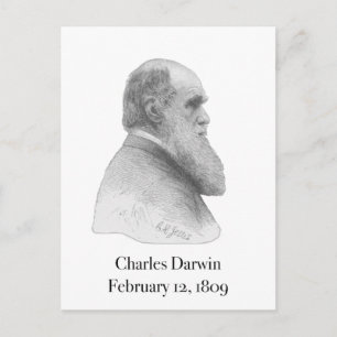 Darwin Postcard
