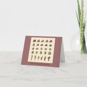 Darwin's beloved barnacles card
