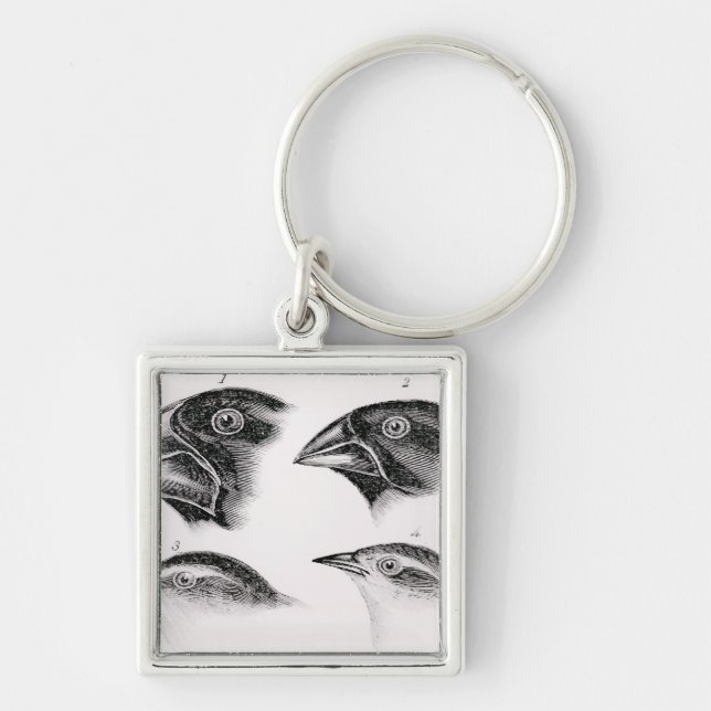 Darwin's bird observations key ring (Front)
