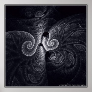 DARWIN'S EVOLUTION POSTER