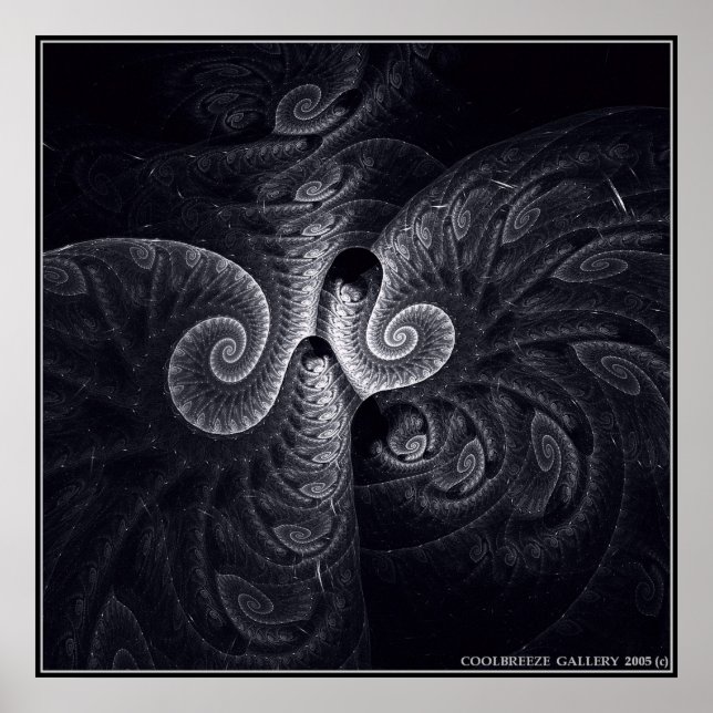 DARWIN'S  EVOLUTION POSTER (Front)