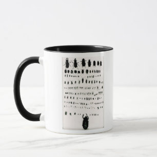 Darwin's insect collection mug