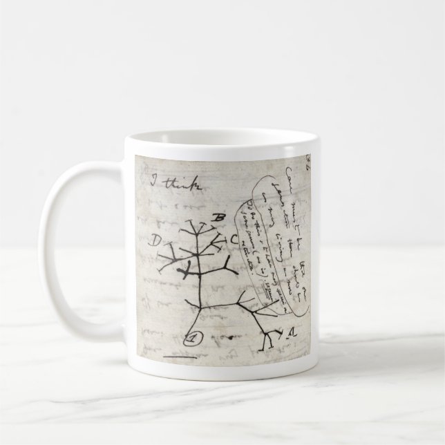 darwin's notebook coffee mug (Left)