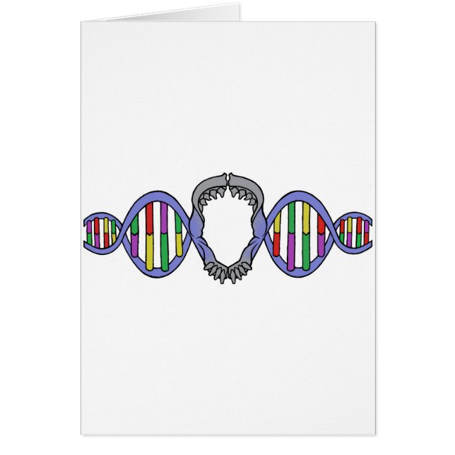 Darwin's Playground Logo (Front)