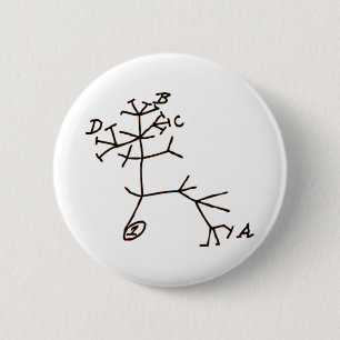 Darwin's Tree 6 Cm Round Badge