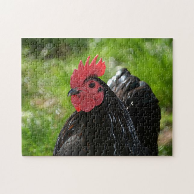 Das Huhn Jigsaw Puzzle (Horizontal)