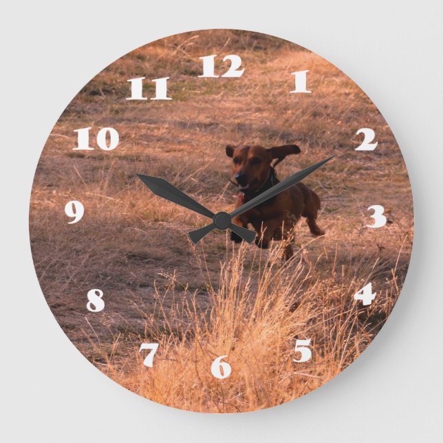 Daschund Dog Jumping in The Field Photo Large Clock (Front)