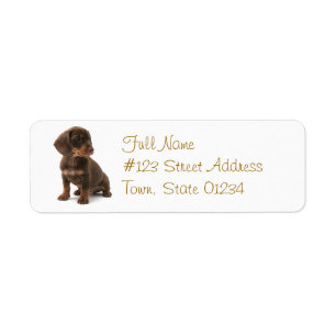 Daschund Dog Return Address Label