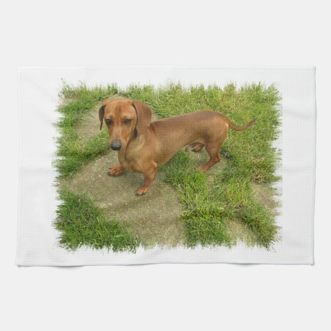 Daschund Kitchen Towel (Horizontal)