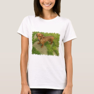 Daschund Ladies Fitted T-Shirt