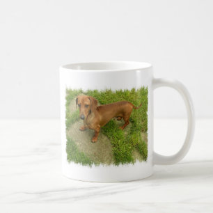 Daschund  Mug