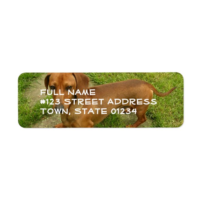 Daschund Return Address Mailing Label (Front)