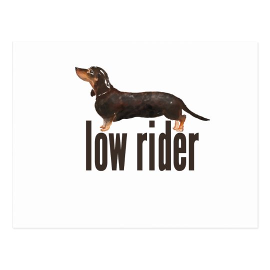 Daschund Sausage Dog Postcard Zazzle Com Au
