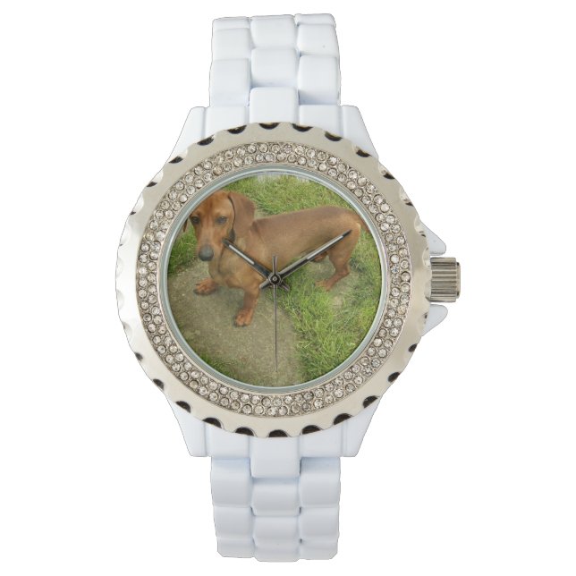Daschund Watch (Front)