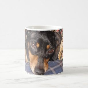 Daschund Weener Dog face Coffee Mug