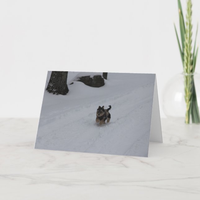 Dashing determined puppy card (Front)