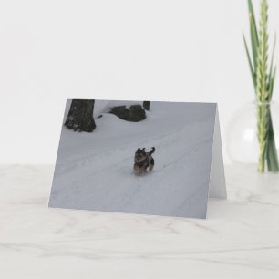 Dashing Determined puppy card PERSONALIZED