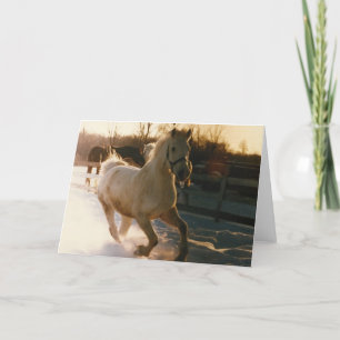 Dashing through the snow. . . holiday card