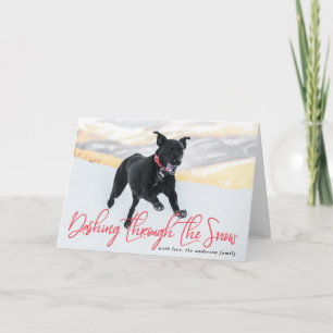Dashing Through The Snow   Holiday Pet Card