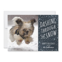 Dashing Through the Snow Holiday Pet Card