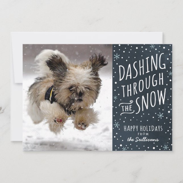 Dashing Through the Snow Holiday Pet Card (Front)