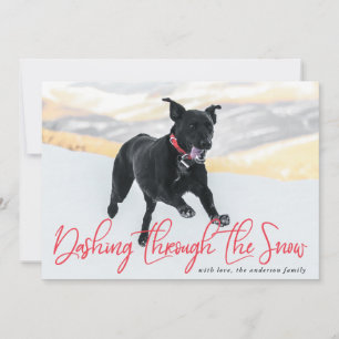 Dashing Through The Snow   Holiday Pet Card