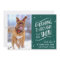 Dashing Through the Snow | Holiday Photo