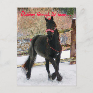 Dashing through the snow... postcard