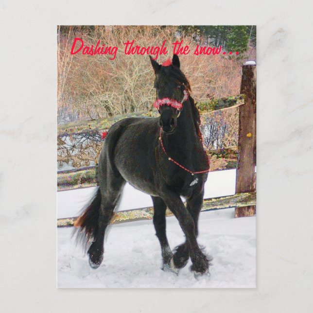 Dashing through the snow... postcard (Front)