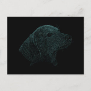 Dashshund Postcard