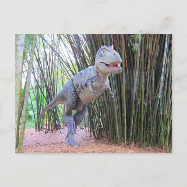 Daspletosaur - Dinosaur - Learning Card (Front)
