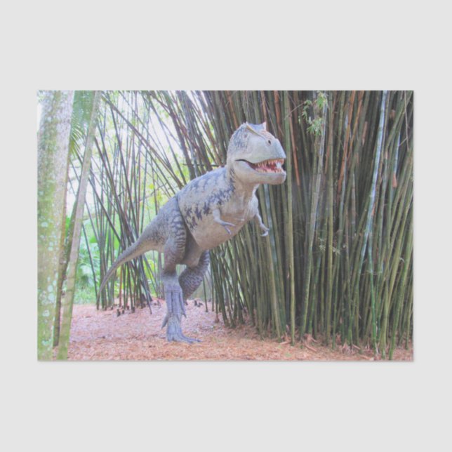 Daspletosaur - Dinosaur Tissue Paper (Front)