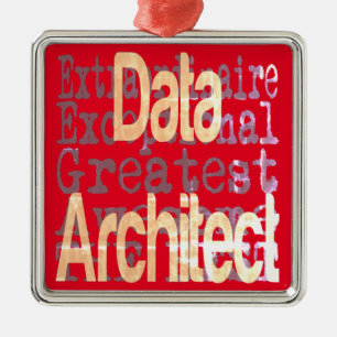 Data Architect Extraordinaire Metal Ornament