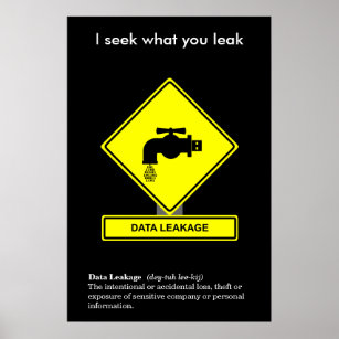 Data Leakage Security Awareness Poster