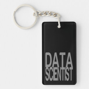 Data Scientist in Tall Silver Text Key Ring