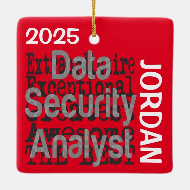 Data Security Analyst Extraordinaire CUSTOM Ceramic Ornament (Back)