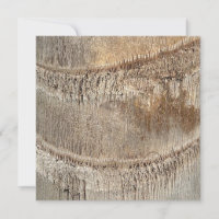 Date Palm Tree Trunk Texture Closeup Photo Image