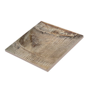 Date Palm Tree Trunk Texture Closeup Photo Image Ceramic Tile