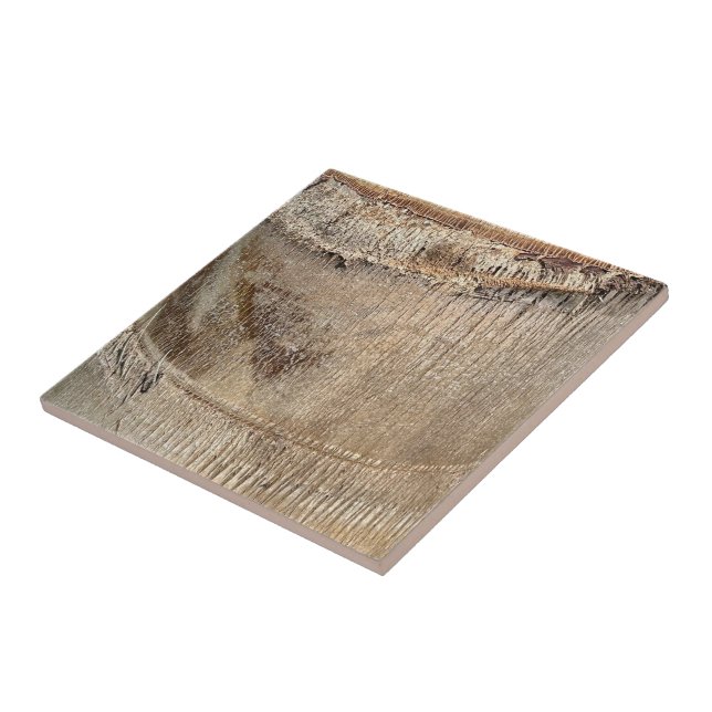 Date Palm Tree Trunk Texture Closeup Photo Image Ceramic Tile (Side)