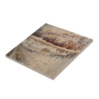 Date Palm Tree Trunk Texture Closeup Photo Image