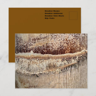 Date Palm Tree Trunk Texture Closeup Photo Image Postcard