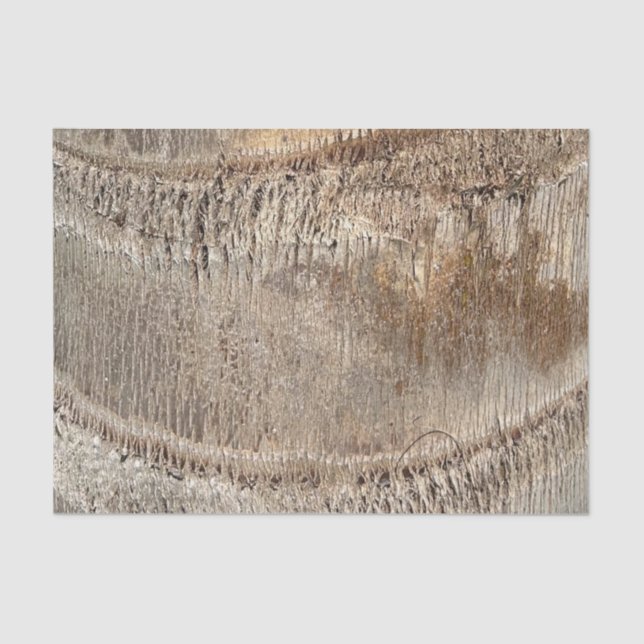 Date Palm Tree Trunk Texture Closeup Photo Image Tissue Paper (Front)
