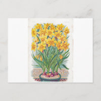 date rsvp flowers daffodil yellow vintage