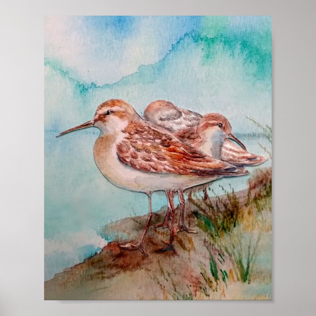 Dated, Watercolor Sandpiper Shore Beach Bird Art  Poster (Front)