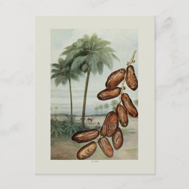 Dates Postcard (Front)
