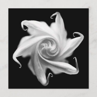 datura flower bud invite