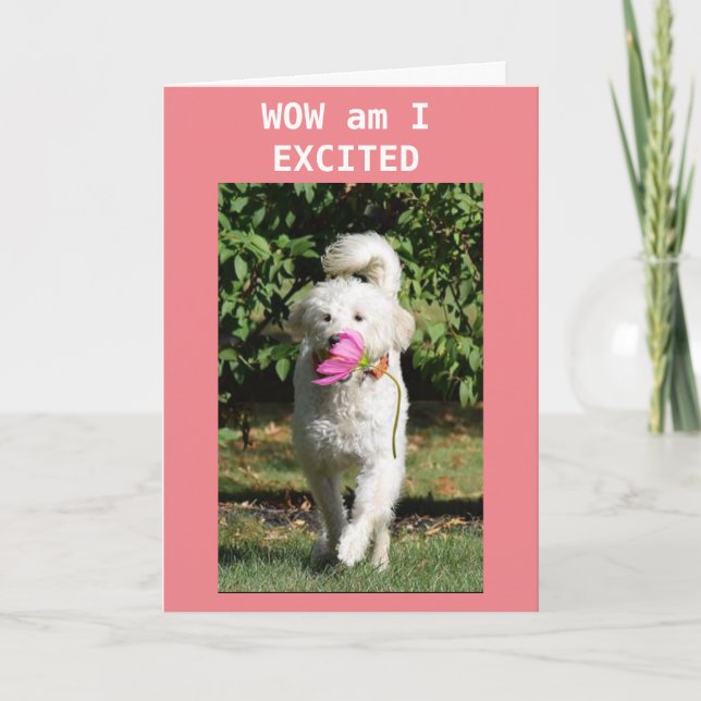 DAUGHTER TURNS 13 GOT TO HURRY  CARD (Front)