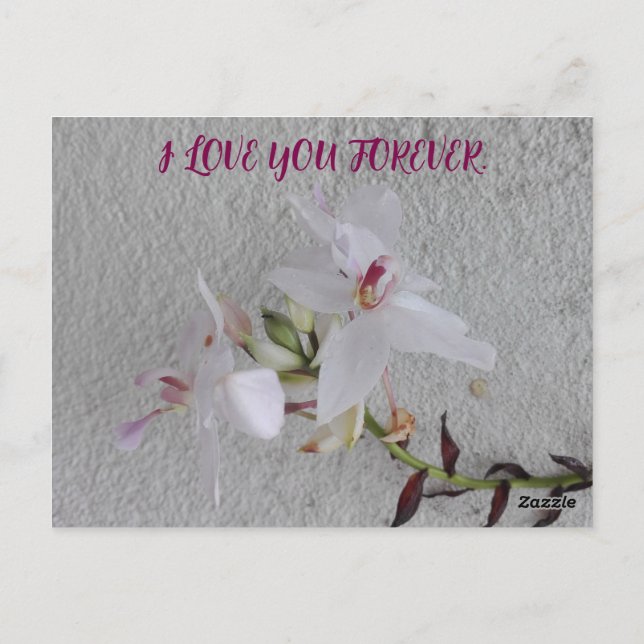 DAUGHTERS DAY FLOWER GIFT POSTCARD (Back)
