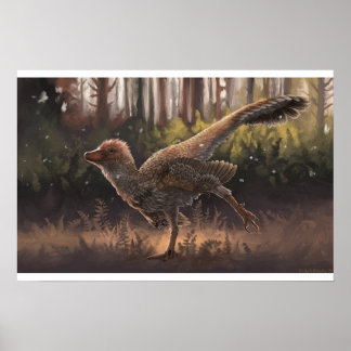 Daurlong Print