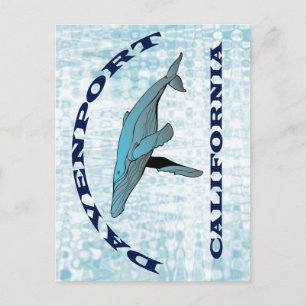 Davenport California Whale Postcard